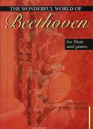 Beethoven Wonderful World Of Flute & Piano Sands Sheet Music Songbook