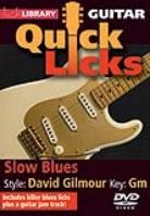 Quick Licks David Gilmour Slow Blues Dvd Sheet Music Songbook
