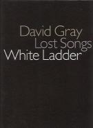 David Gray Slipcase (2 Vol Set) Piano Vocal Guitar Sheet Music Songbook