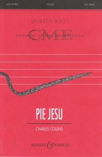 Pie Jesu Collins Ssaa Sheet Music Songbook